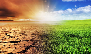 thumbnails Call for Participation: Climate Lighthouse Awards & Norwegian Green Transition Forum 2026