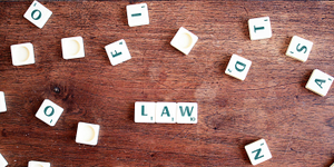 thumbnails Navigating ESG Compliance: Transparency Act Updates and Supply Chain Due Diligence